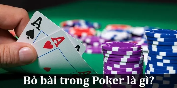 Biết khi nào nên bỏ bài trong Poker giúp giảm thiểu thua lỗ